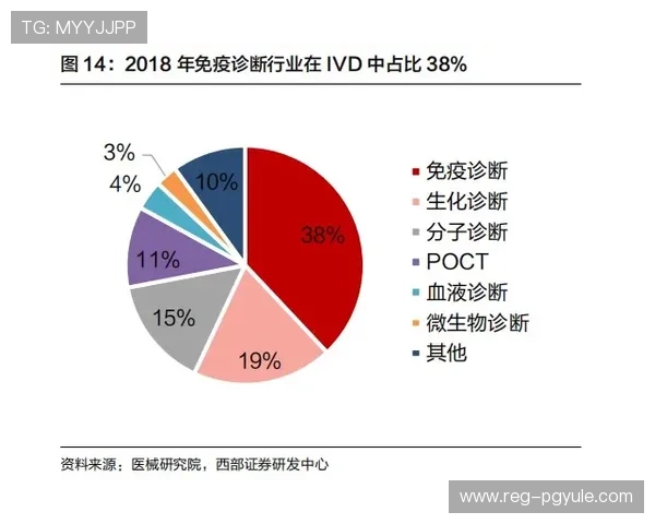 ag亚游国际市场面临的主要挑战与应对策略全面解读