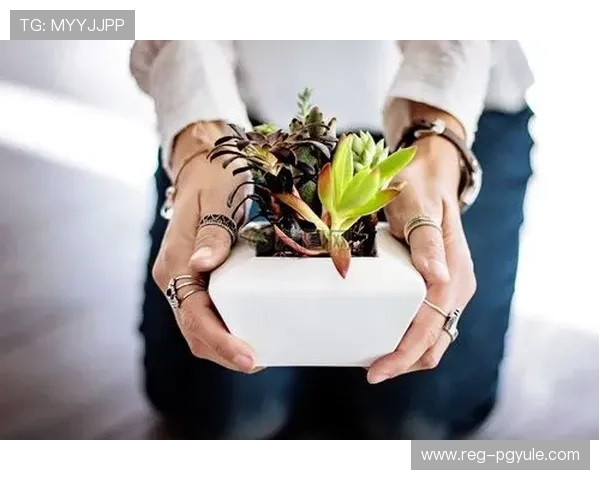 AG竞咪厅游戏最新玩法详解助你轻松掌握赢取大奖的技巧