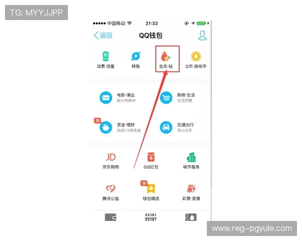 凯发手机会员登录后如何快速查看个人账户信息