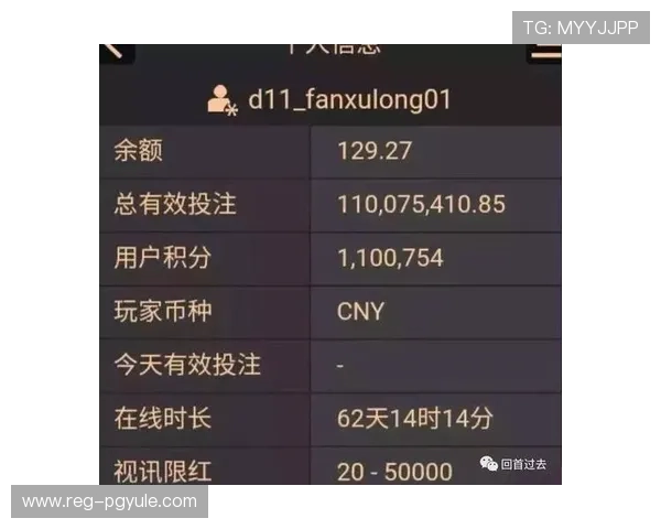 AG百家乐代理盈利模式详解及提升代理收益的实用技巧 AG百家乐代理盈利模式详解及提升代理收益的实用技巧